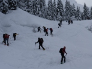 Gara Sociale - 9 Febbraio 2014